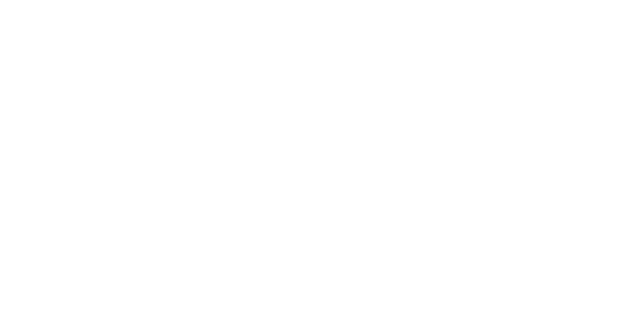 CityPay